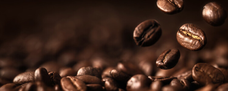 QUALITY OF DART COFFEE
